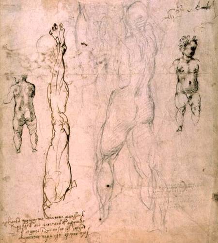 Anatomical drawings with accompanying notes (red chalk) a Michelangelo Buonarroti