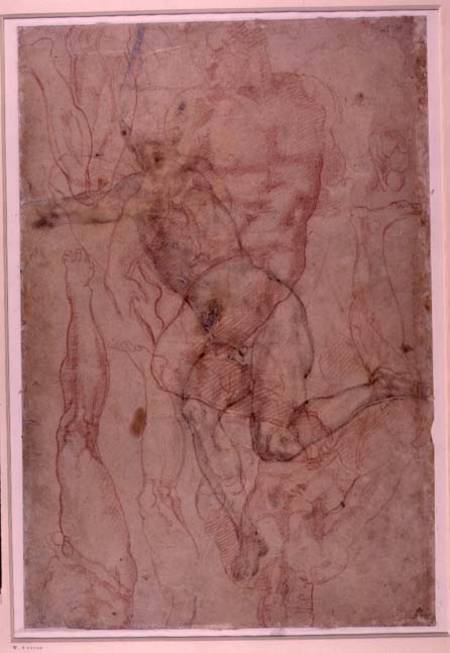Figure Study, red chalk a Michelangelo Buonarroti