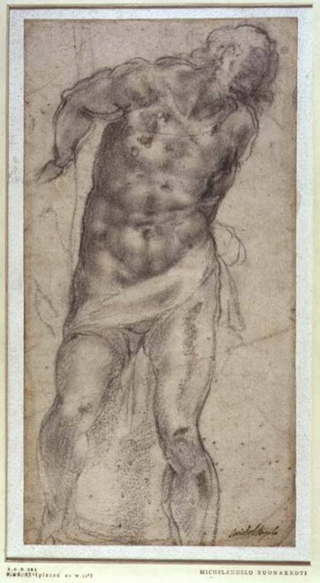 Figure Study (W.15a Pouncey catalogue 276) a Michelangelo Buonarroti