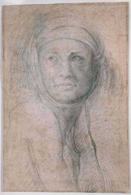 Head of a Woman a Michelangelo Buonarroti