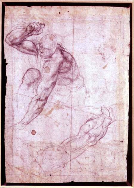 Male figure study a Michelangelo Buonarroti