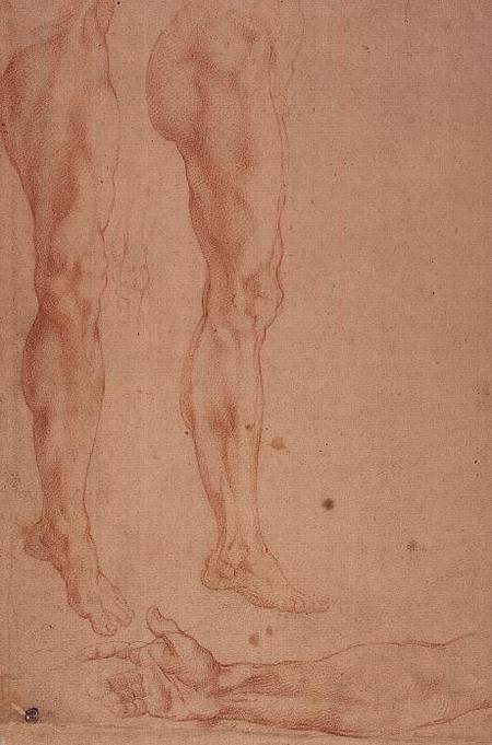 Studies of Legs and Arms a Michelangelo Buonarroti