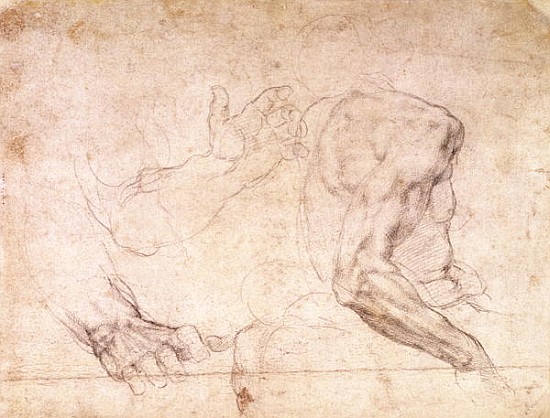 Studies of hands and an arm(verso) a Michelangelo Buonarroti