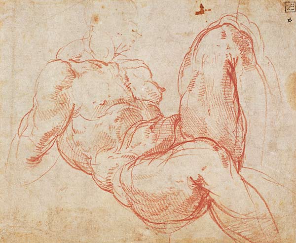 Study of a Nude (red chalk) Inv.1854/5/13/1 Recto (W.10) a Michelangelo Buonarroti