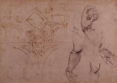 Study of Arms and Hands, black chalk a Michelangelo Buonarroti