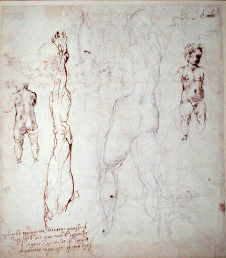 Study of the Christ Child and an Anatomical Drawing with Notes (black chalk & brown ink on paper) (v a Michelangelo Buonarroti