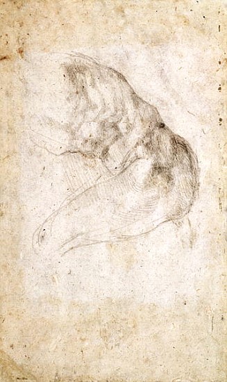 Study for The Creation of Adam(verso) (for recto see 191766) a Michelangelo Buonarroti
