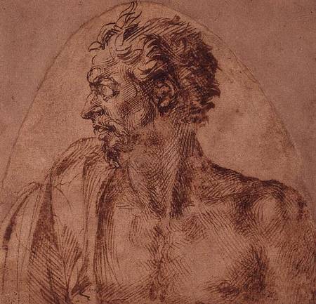 Study of Head and Shoulders (ink) Inv.1895/1/15/495/ Recto (W.2) a Michelangelo Buonarroti