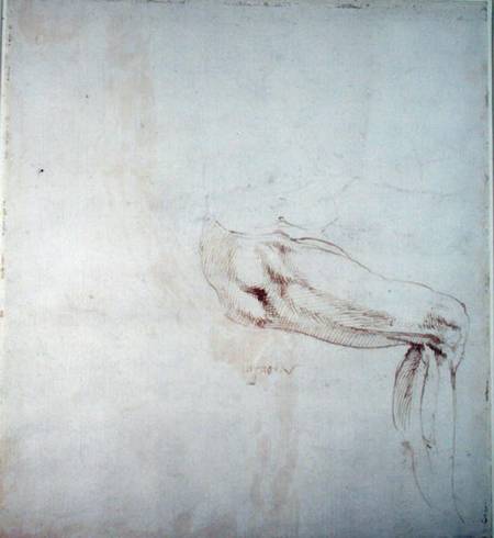 Study of a Leg with Notes  (recto) a Michelangelo Buonarroti