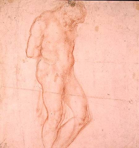 Study of a Nude (red chalk) Inv.1896/7/10/1 Verso (W.64) a Michelangelo Buonarroti