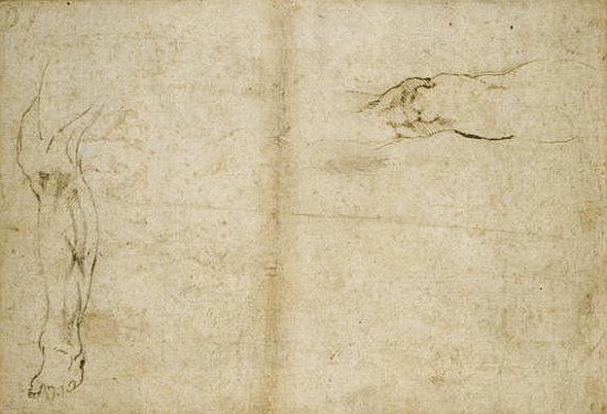 Study of a human leg, 16th century a Michelangelo Buonarroti