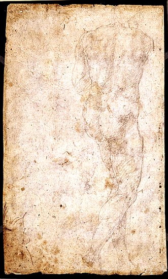 Study of a Male Nude  (for verso see 191765) a Michelangelo Buonarroti