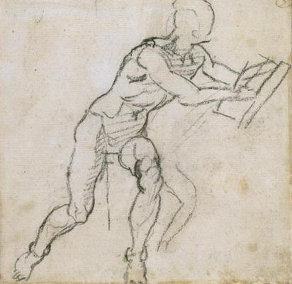 Study of a seated male nude, c.1511 (black chalk on paper) a Michelangelo Buonarroti
