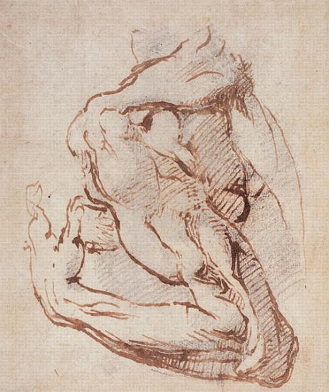 Study of an Arm Inv.1859/5/14/819 (W.49) a Michelangelo Buonarroti