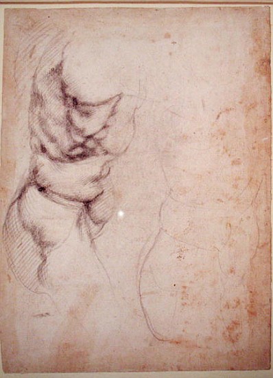 Study of torso and buttock a Michelangelo Buonarroti
