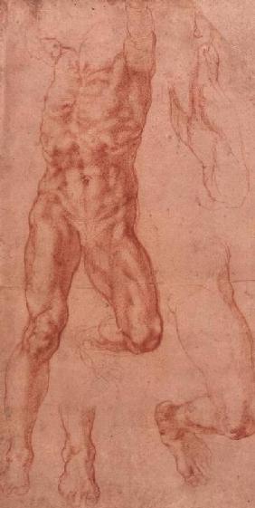 W.13r Study of a male nude, stretching upwards