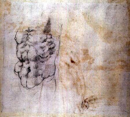 Torso Study (W.45 verso) a Michelangelo Buonarroti