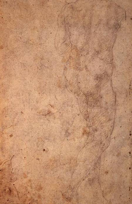 W.48 Sketch of a standing male nude, rear view a Michelangelo Buonarroti
