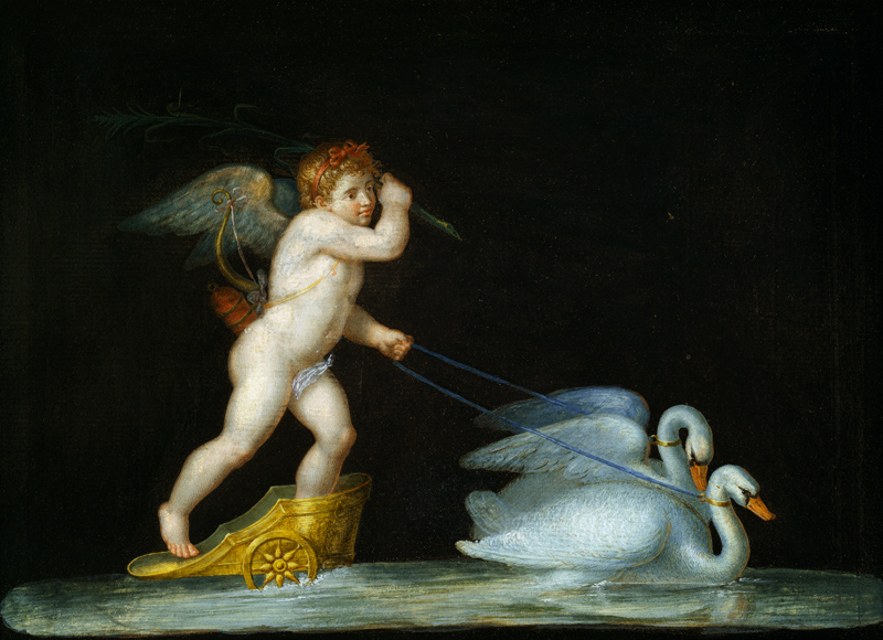 Cupid being led by a pair of swans a Michelangelo Maestri