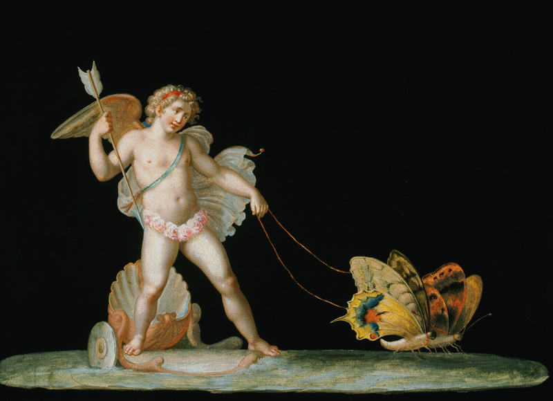 Cupid led by butterflies a Michelangelo Maestri
