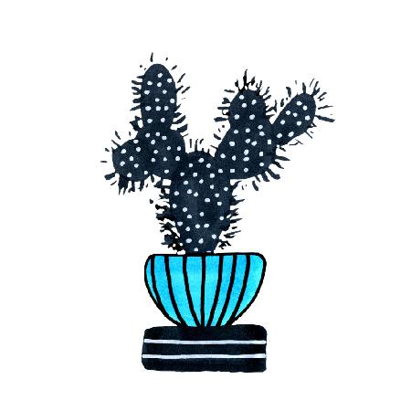 Cactus 1 Desert Plant Blue Black