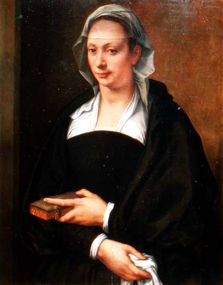 Portrait of a Lady in a White Veil a Michele Tosini