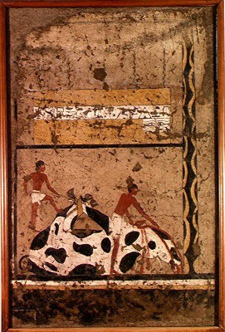 Funerary sacrifice of a bull, from the Tomb of Iti a Middle Kingdom Egyptian
