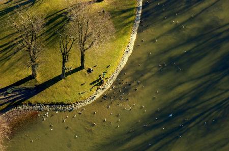 View from Above