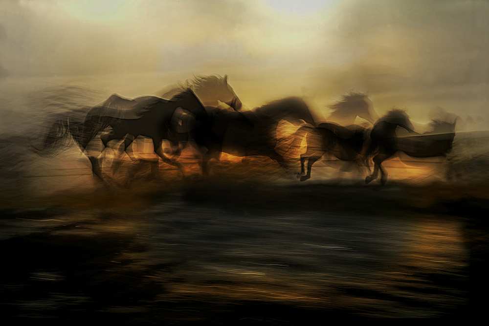 In the morning gallop a Milan Malovrh