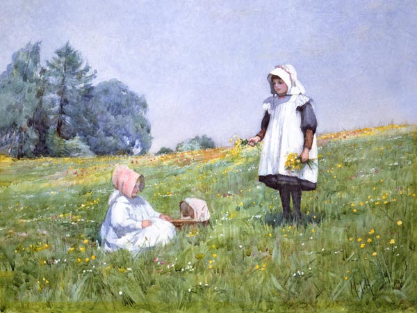 Buttercups and Daisies a Minnie Jane Hardman