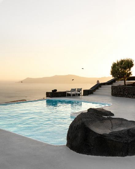 Birds Flying Over Swimming Pool