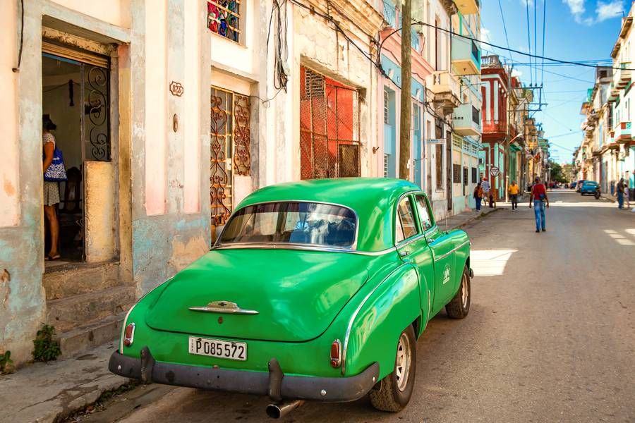 Green Havana a Miro May