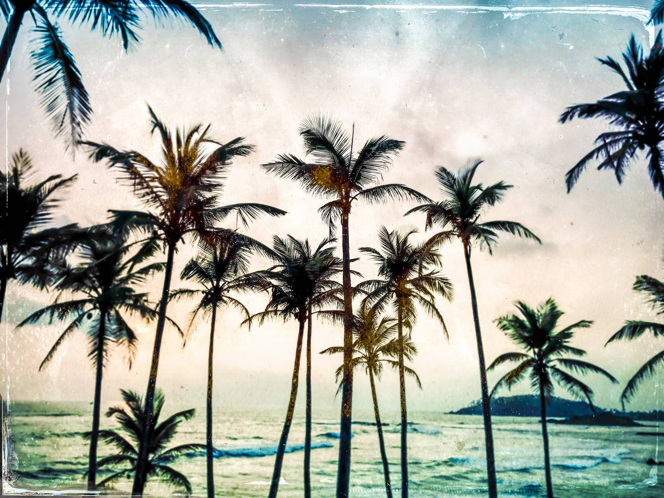 Palmen am Strand in Sri Lanka a Miro May
