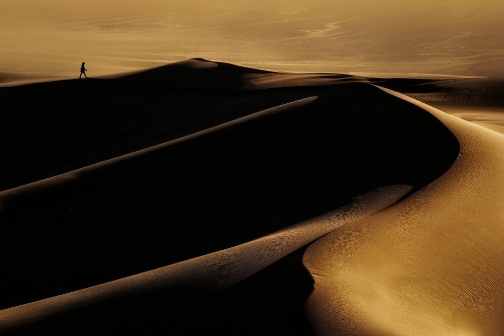 desert one a Mohammad Fotouhi