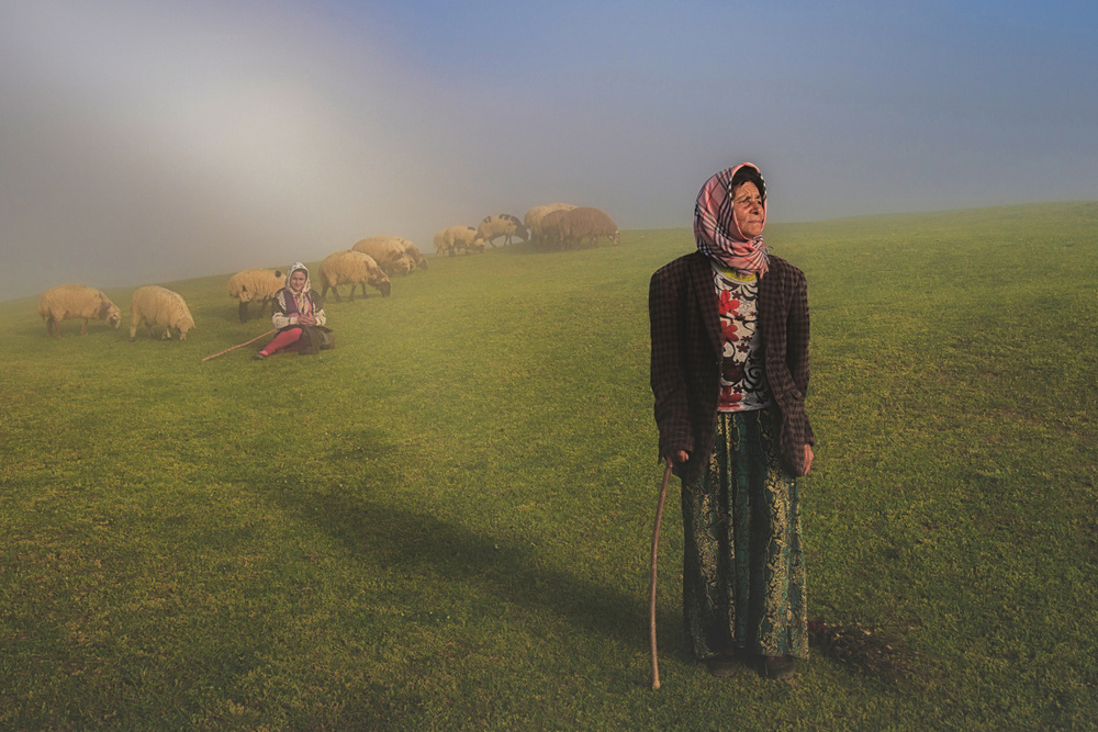 Shepherd in fog a Mohammad Shefaa AFIAP