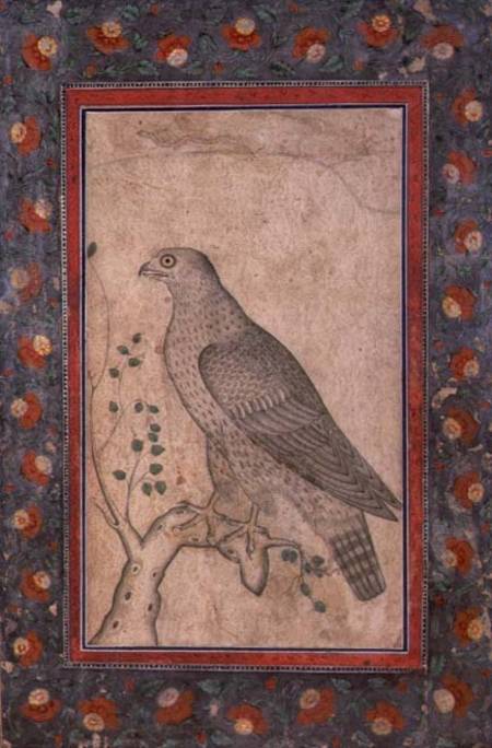 Falcon perched on a leafy stump a Mughal School