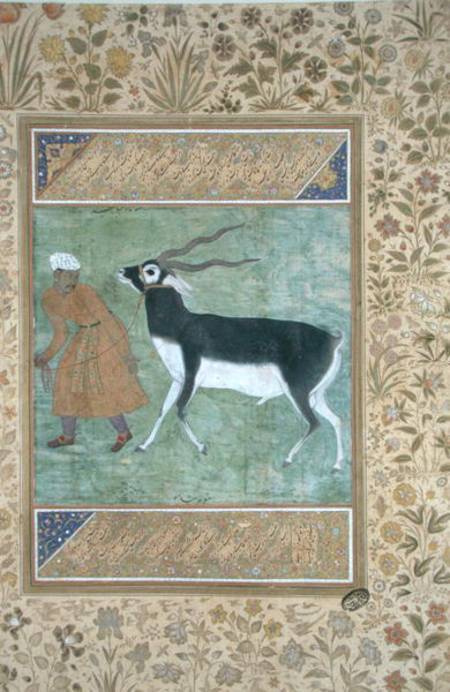 An Indian black buck being led by its keeper a Mughal School