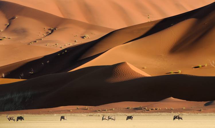 Namib Dunes a Muriel Vekemans