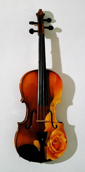 The Rose of Violin a Myung-Bo  Sim
