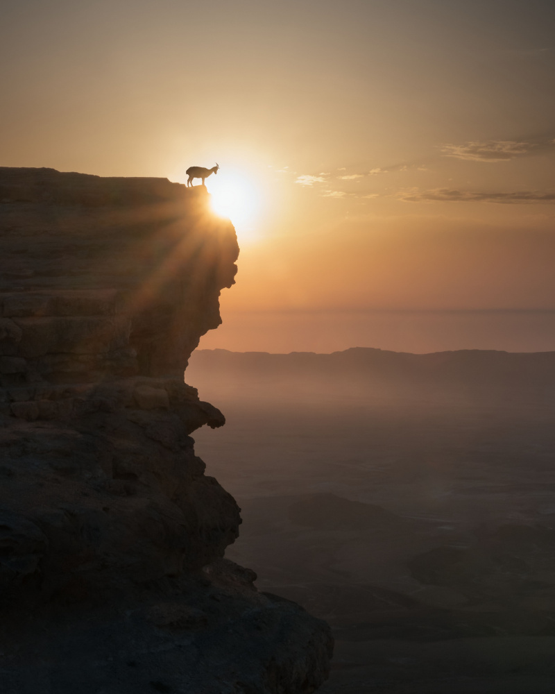 Desert Sunrise a Nadav Jonas