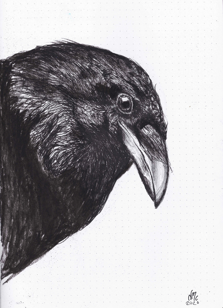 Crow or Raven a Nancy Moniz Charalambous