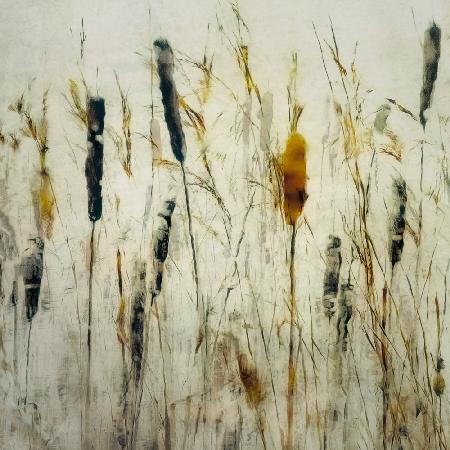 Cattail and reeds