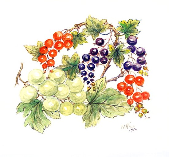 Black and Red Currants with Green Grapes, 1986 (w/c on paper)  a Nell  Hill