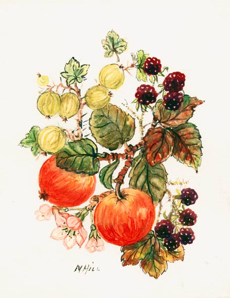 Brambles, Apples and Grapes (w/c on paper)  a Nell  Hill
