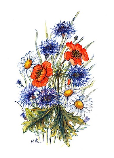 Cornflower, Poppy and Ox-eye Daisy (w/c on paper)  a Nell  Hill