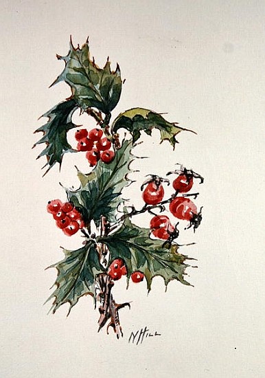 Holly and rosehips  a Nell  Hill