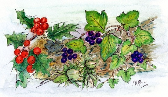Log of Ivy, Holly and Hazelnuts a Nell  Hill