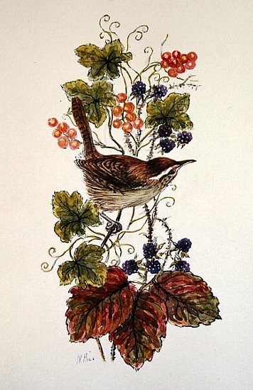 Wren on a spray of berries  a Nell  Hill