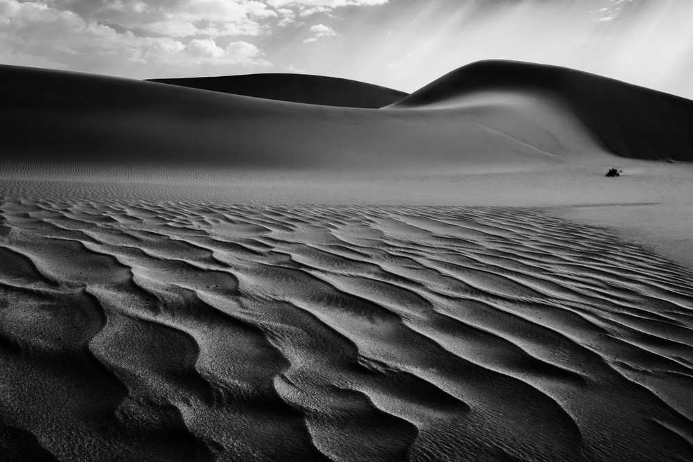 The Living Dunes, Namibia I a Neville Jones