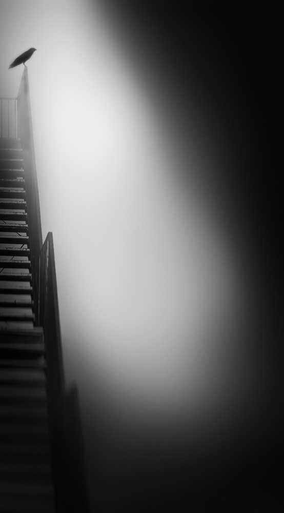 stairway to heaven a Nic Keller